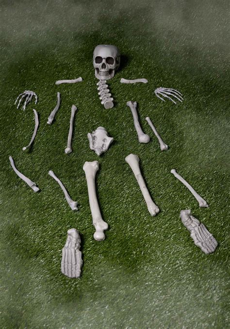 small bag of fake bones